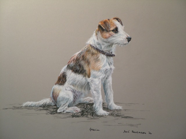 sporting art and animal portraits by Mark Hankinson