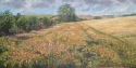 Knowle Farm