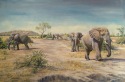 Leaving the waterhole