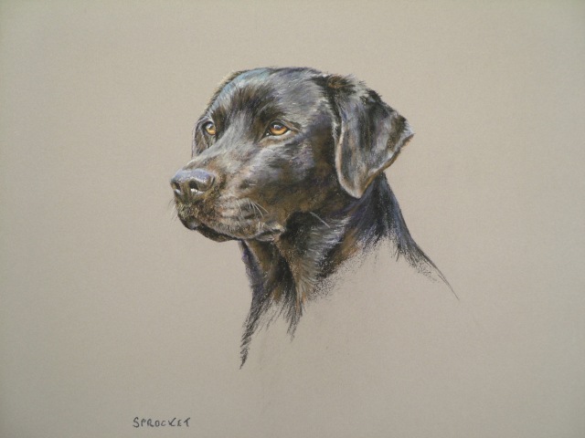 sporting art and animal portraits by Mark Hankinson