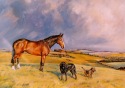 Horse, labrador and terrier