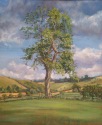 the Old Ash Tree