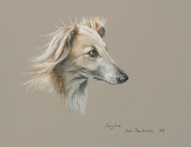 sporting art and animal portraits by Mark Hankinson
