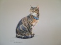 Vincent